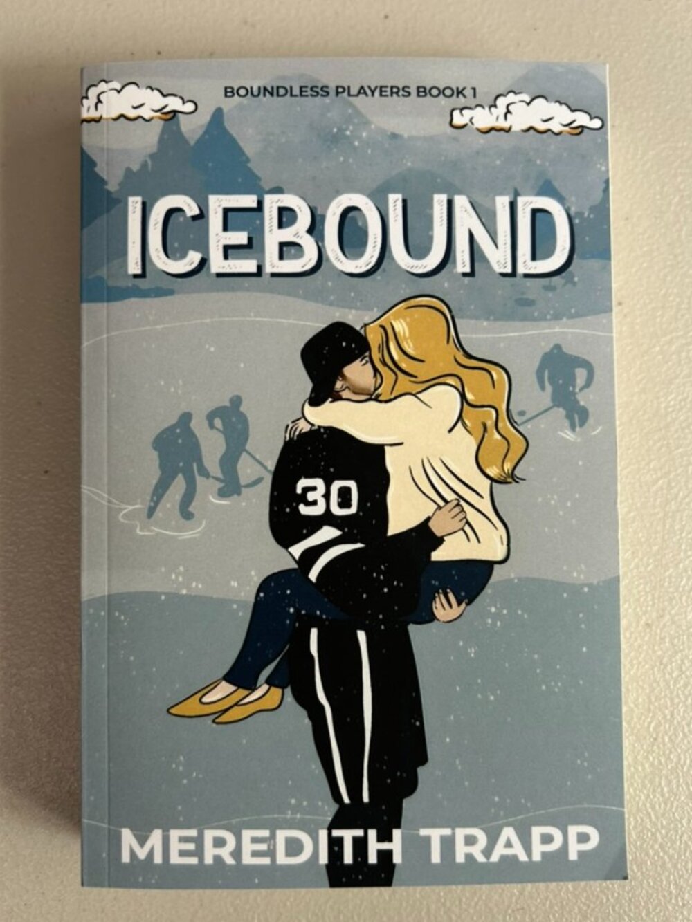3 for $20 📚 | Icebound by Meredith Trapp | Paperback Book